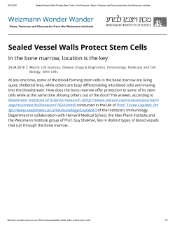 Sealed Vessel Walls Protect Stem Cells
