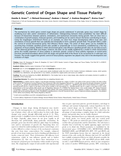Genetic Control of Organ Shape and Tissue Polarity