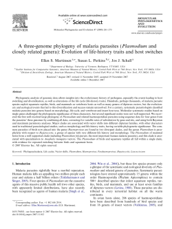 A three-genome phylogeny of malaria parasites (Plasmodium and