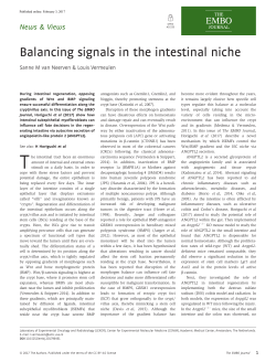 Balancing signals in the intestinal niche