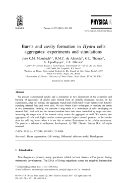 Bursts and cavity formation in Hydra cells aggregates