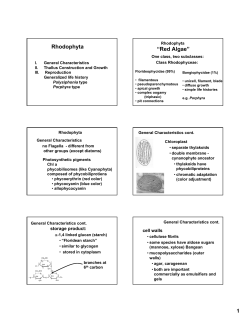 Rhodophyta “Red Algae” - Oregon State University