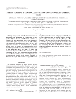 Firefly flashing is controlled by gating oxygen