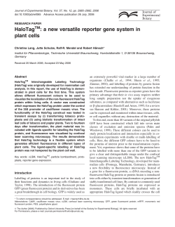 HaloTag : a new versatile reporter gene system in plant cells
