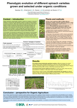 Phenotypic evolution of different spinach varieties grown