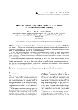 A Distance Measure and a Feature Likelihood Map Concept