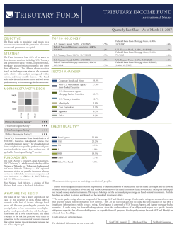 Institutional Fund Fact Sheet