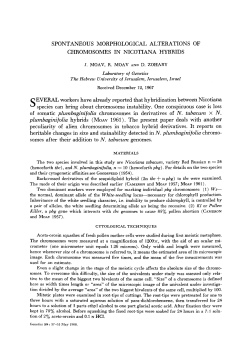 SPONTANEOUS MORPHOLOGICAL ALTERATIONS OF