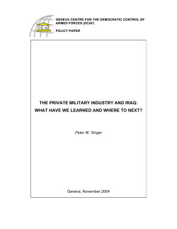 the private military industry and iraq: what have we learned and
