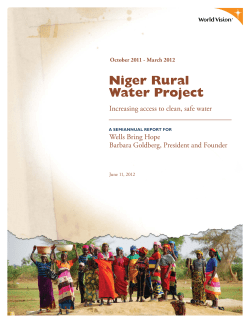 Niger Rural Water Project