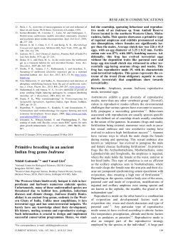 Primitive breeding in an ancient Indian frog genus