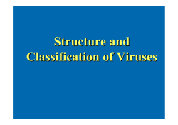 Structure and Classification of Viruses