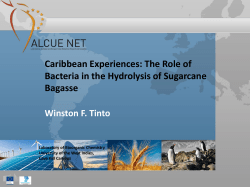 Caribbean Experiences: The Role of Bacteria in the Hydrolysis of