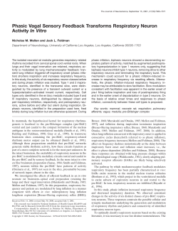 Phasic Vagal Sensory Feedback Transforms Respiratory Neuron