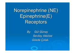 Norepinephrine (NE) Epinephrine(E) Receptors