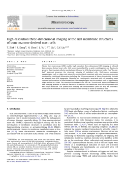 High-resolution three-dimensional imaging of the rich membrane