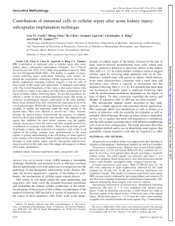Contribution of intrarenal cells to cellular repair after acute kidney