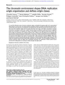 The chromatin environment shapes DNA replication origin