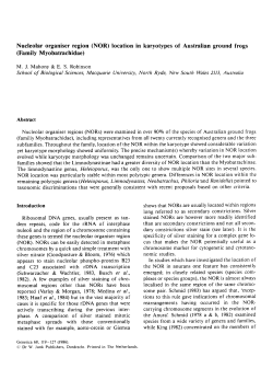 (NOR) location in karyotypes of Australian ground frogs
