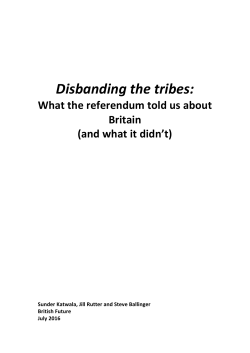 Disbanding the tribes - Barrow Cadbury Trust