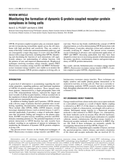 Monitoring the formation of dynamic G-protein