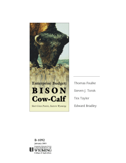 BISON COW-CALF - ENTERPRISE BUDGET