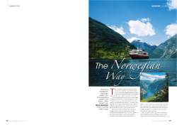 The Norwegian - Steve Newman