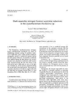 Dark anaerobic nitrogen fixation (acetylene reduction) in the