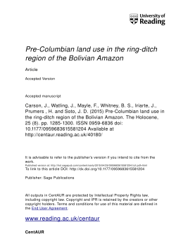 Pre-Columbian land use in the ring