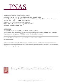 The Mouse Olfactory Receptor Gene Family