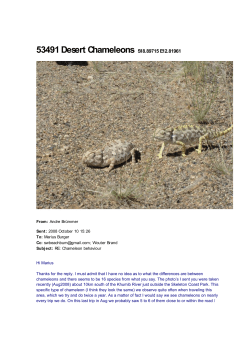 53491 Desert Chameleons S18.89715 E12.81961