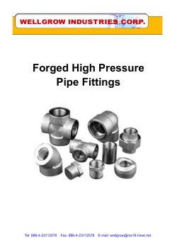 Forged Pipe Fittings