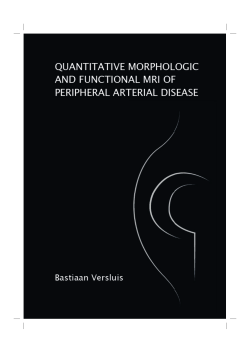 Quantitative morphologic and functional MRI of peripheral arterial