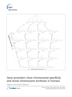 Gene promoters show chromosome