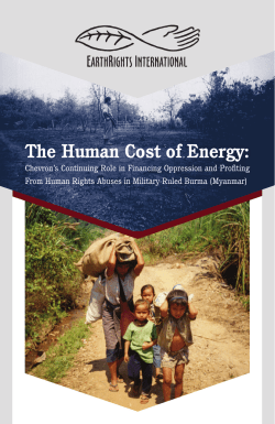The Human Cost of Energy - EarthRights International