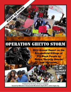 Operation Ghetto Storm - Malcolm X Grassroots Movement