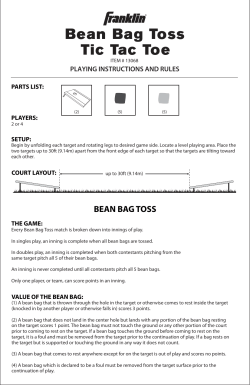 Bean Bag Toss Tic Tac Toe