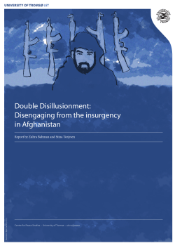 Double Disillusionment: Disengaging from the insurgency in