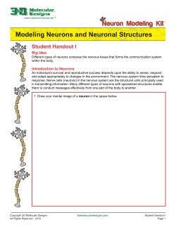 NMK Student Handout 1 - 3D Molecular Designs