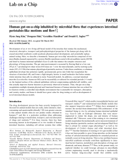 Human Gut-on-a-Chip inhabited by microbial flora that experiences