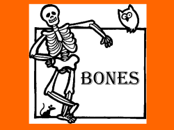 Bones [10/24/2016]