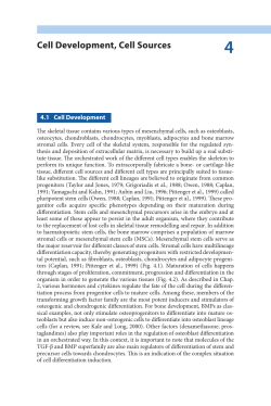 Cell Development, Cell Sources