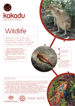 Kakadu wildlife - Parks Australia