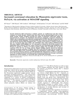 Increased cavernosal relaxation by Phoneutria nigriventer