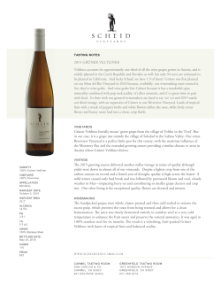 Gr&uuml;ner Veltliner literally means `green grape