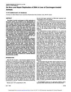 De Novo and Repair Replication of DMA in Liver