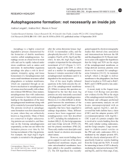 Autophagosome formation: not necessarily an inside job