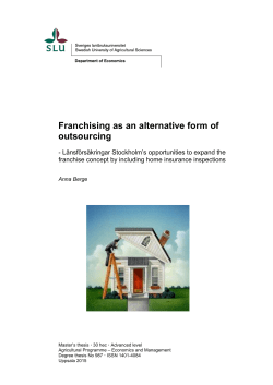 Franchising as an alternative form of outsourcing