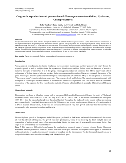 On growth, reproduction and perennation of Pleurocapsa aurantiaca