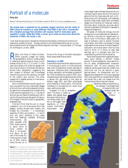 Middle pages (VERY NEWEST).qxd